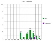 2007 - Per Month