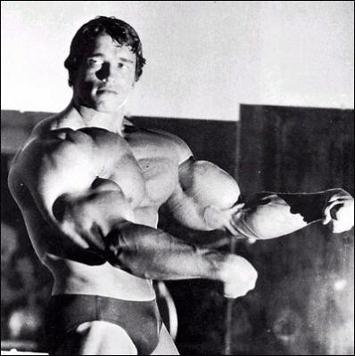 arnold schwarzenegger workout photos. The Dark Side of Perfectionism