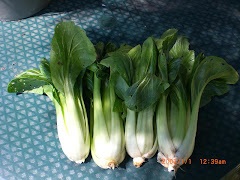 bok choy