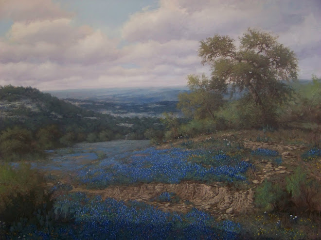 Texas Blue Bonnets