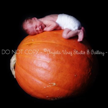 [parker_pumpkin_squareCR.jpg]