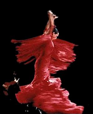 [flamenco%202.jpg]