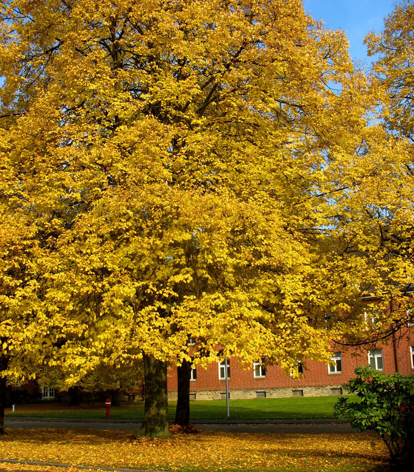 [autum+045.jpg]
