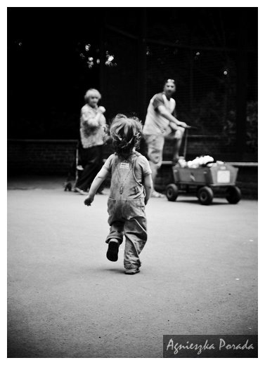 [20080522-CHR_5529_2.jpg]