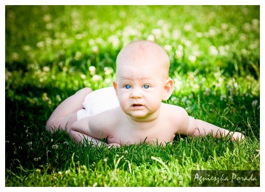 [20080610-img_0001.jpg]