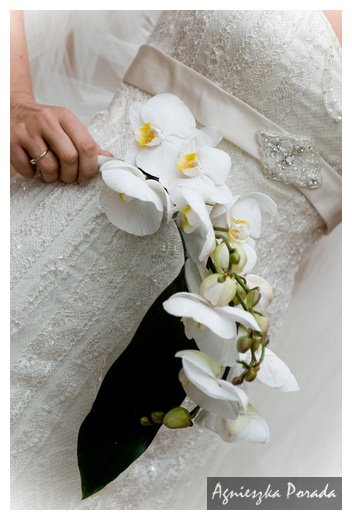 [20080628-MAJ_0508.jpg]