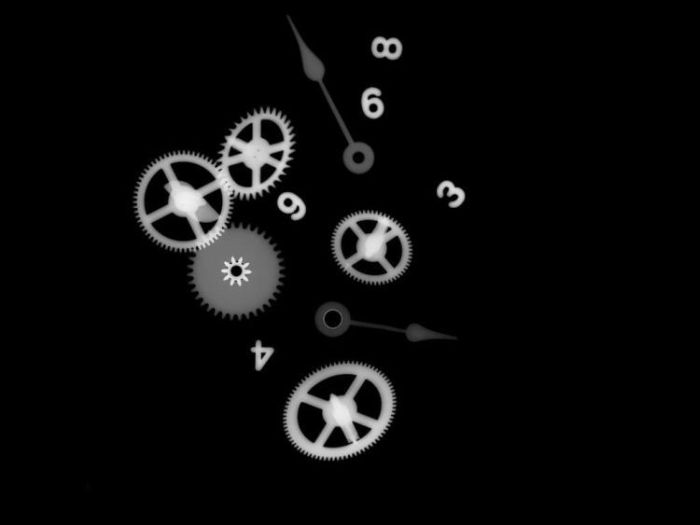 Xray photoshop ~ Alpin Funny Picture!!