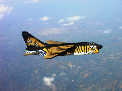 عکس: نقاشیهای جالب بر روی هواپیماها
