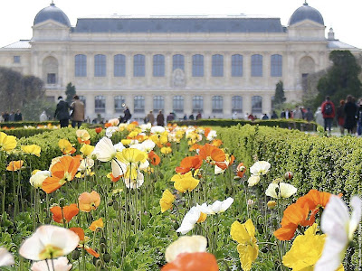 Paris 5eme Jardin Des Plantes