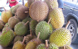 FRUIT OF BORNEO