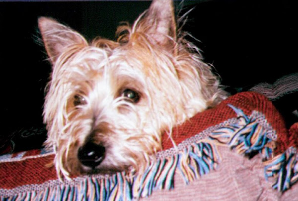 My sister Sadie