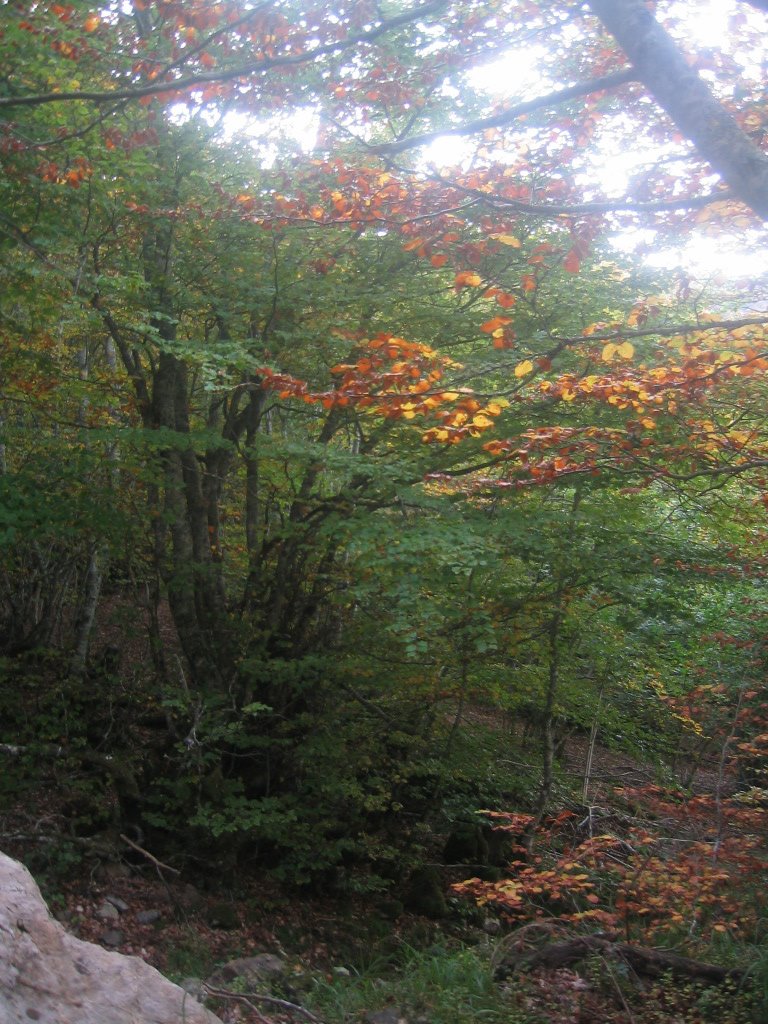 [180_8005_r1.jpg]