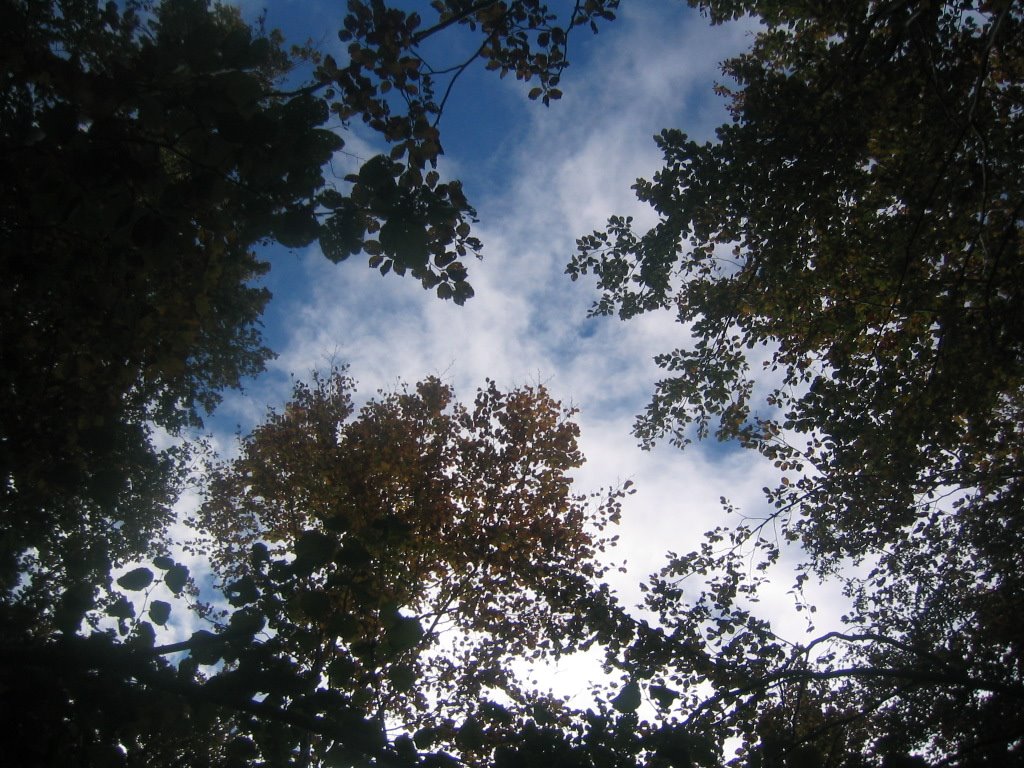 [180_8018.JPG]