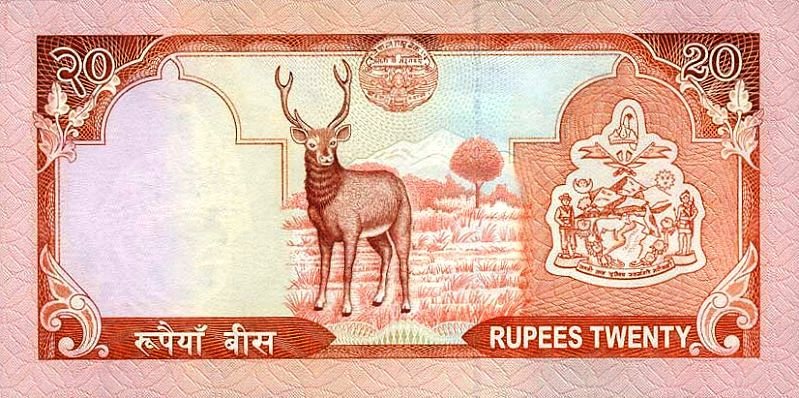 [NepalPNew-20Rupees-(2002)-donatedsrb_b.jpg]