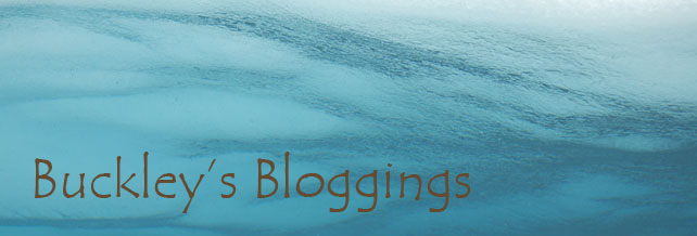 Buckley's Bloggings...