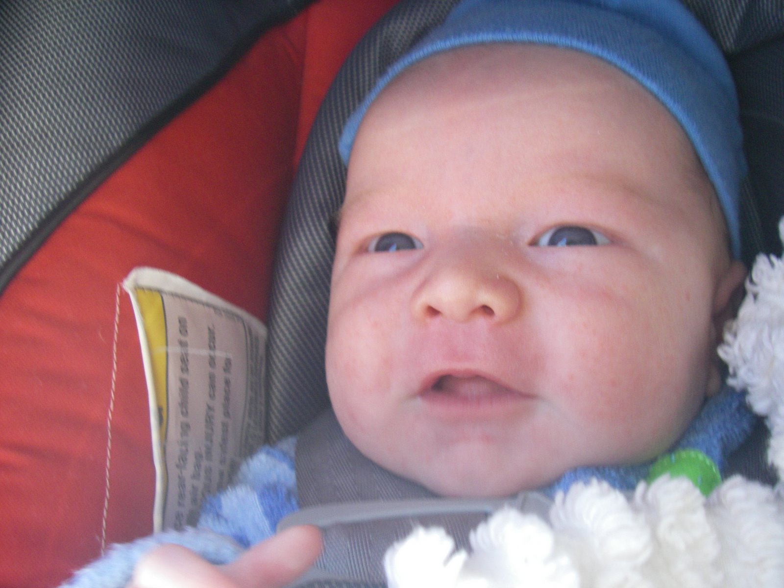 [20090411carseat.jpg]