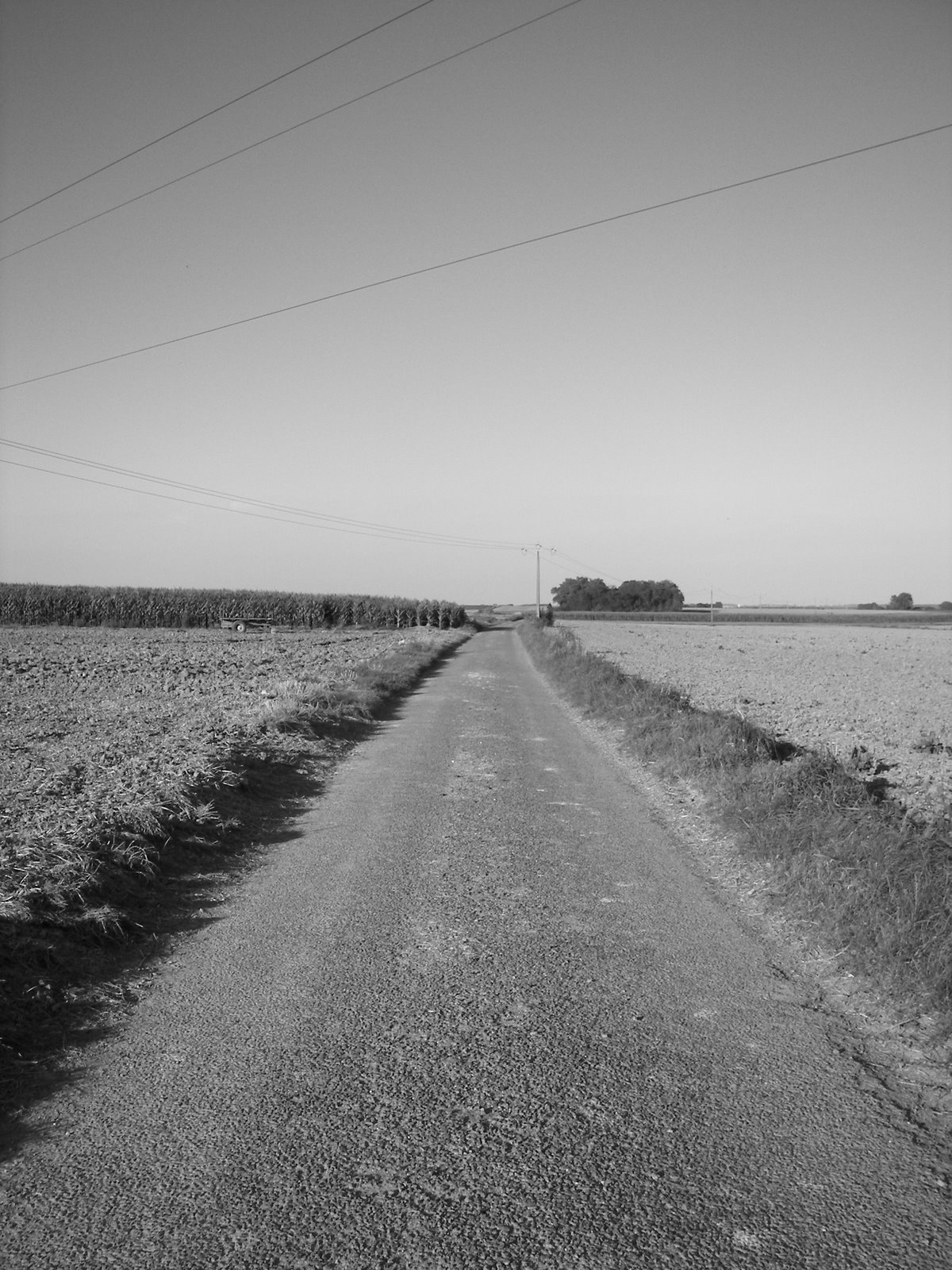 [100_3744.JPG]