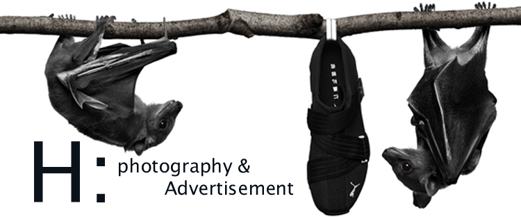 H: photography & advertisement