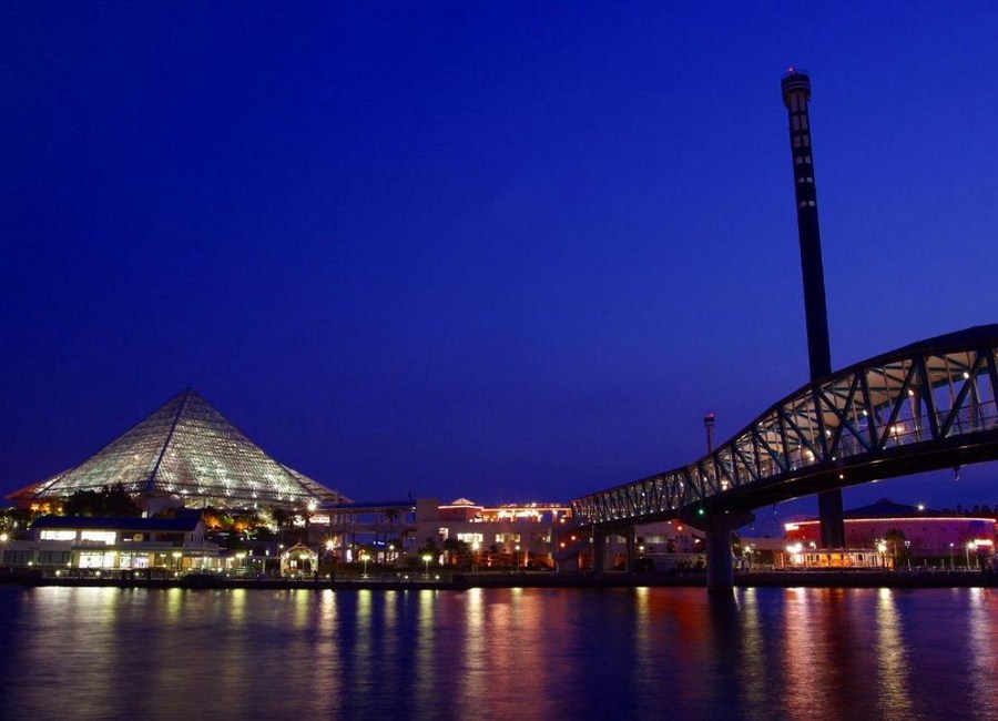 [japan_night_pic_16.jpg]