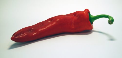 [chilli.jpg]