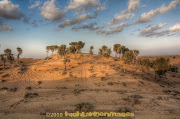 Outside of Dubai there is vast area of desert and although generally barren .