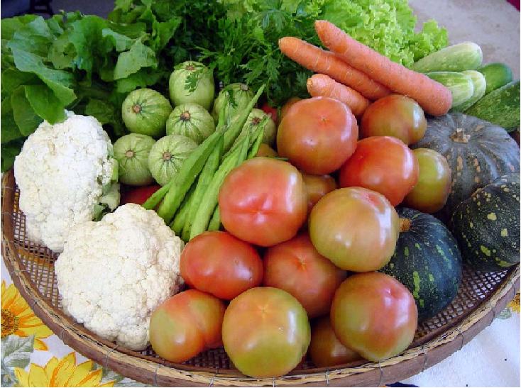 [agroecologia.jpg]