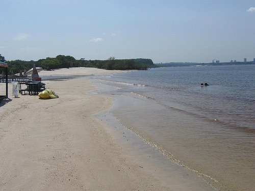 [1454118511_c5ea8af882.jpg]