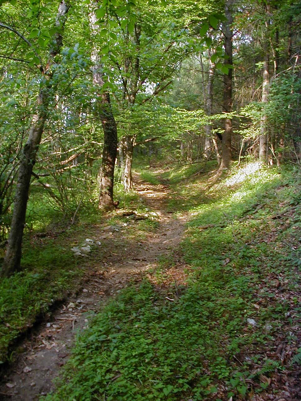 thoreau where i lived and what i lived for essay thoreau where i lived and what i lived for essay