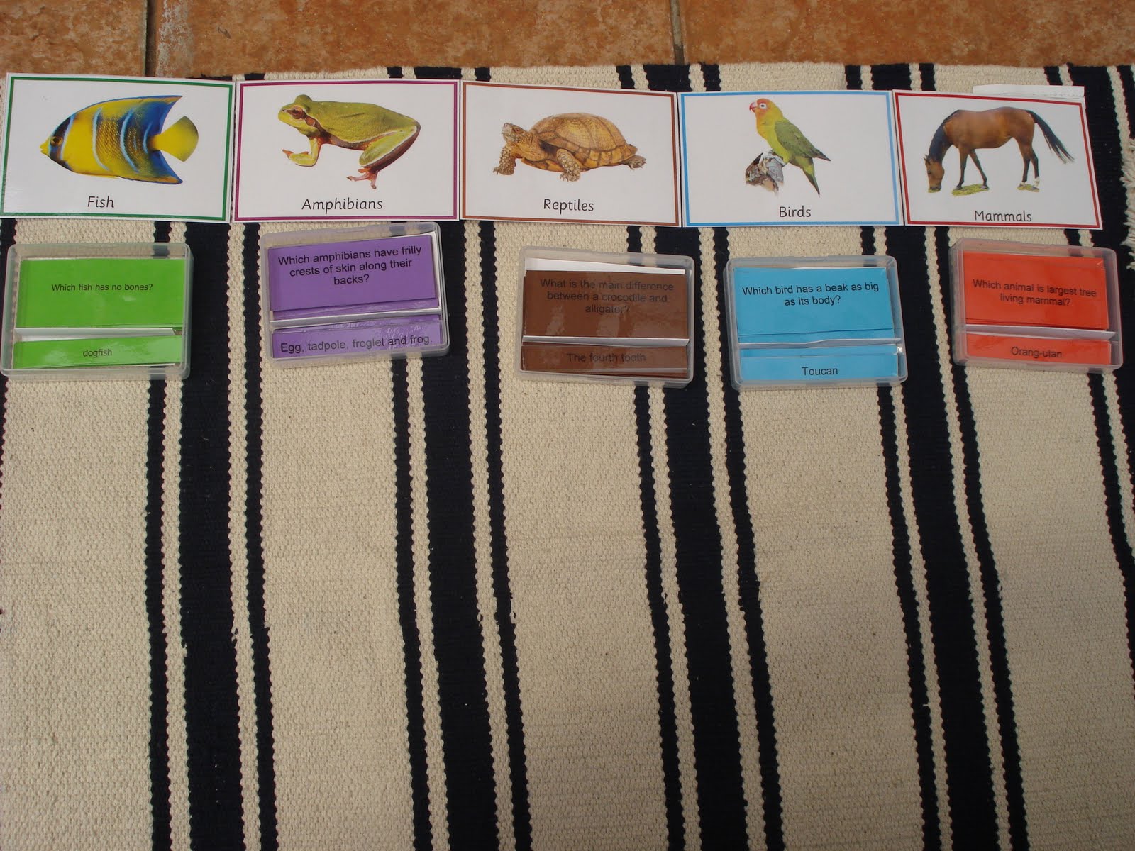THE LEARNING ARK - Elementary Montessori : Animal kingdom Questions