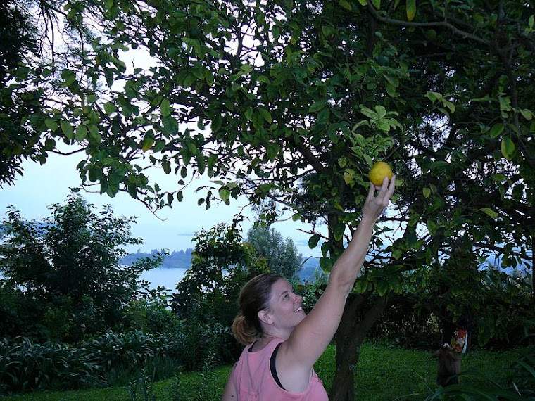 When the tree grows lemons....make lemonade!