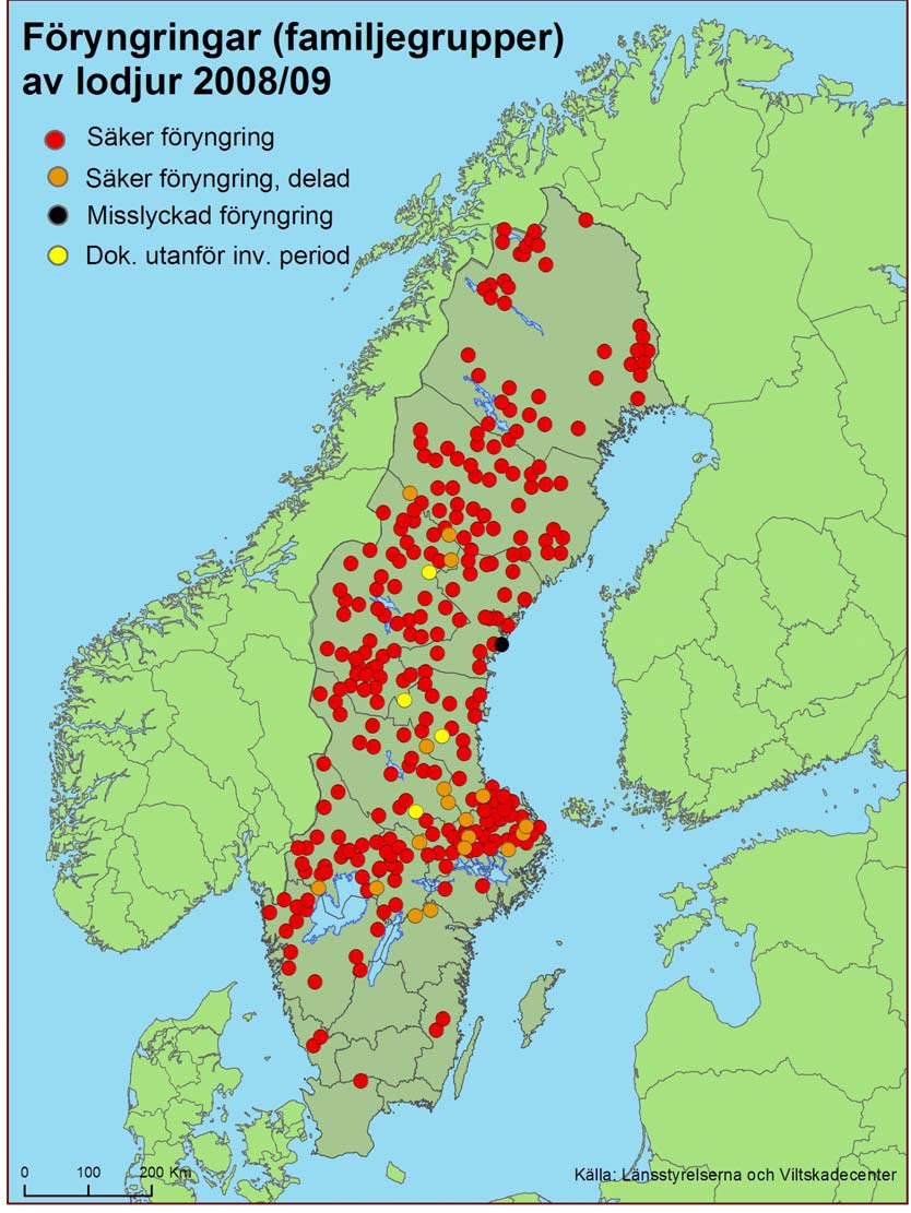 [föryngringarlo08-09.bmp]