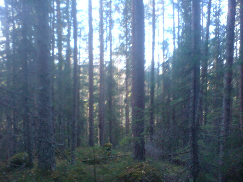 [image-upload-39-796205.jpg]