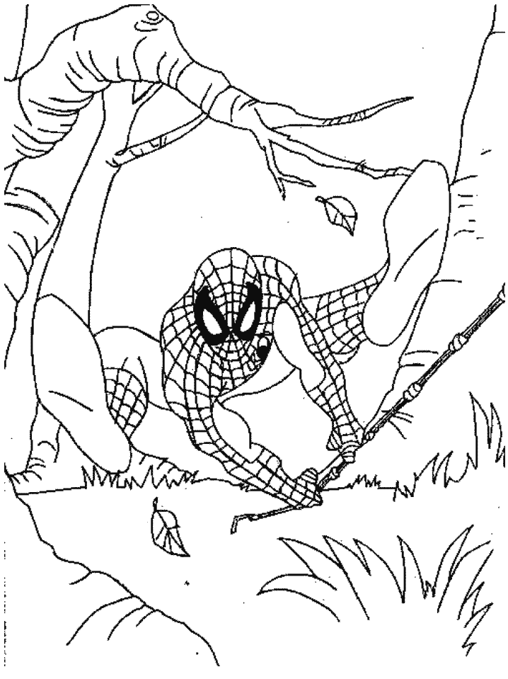 Kids Zone: Coloring Pages - Spiderman 01Kids Zone