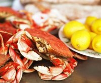 [crabfeed.jpg]