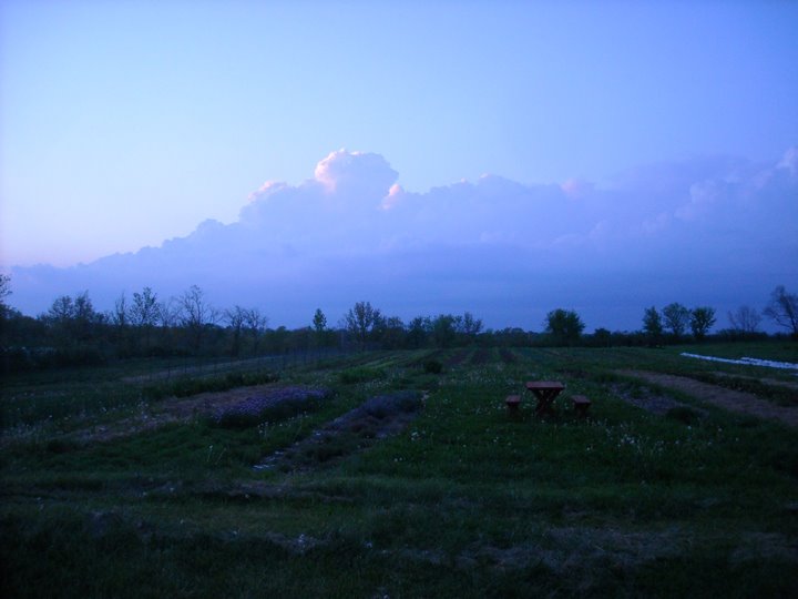 [storm+clouds+1.JPG]