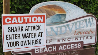 Shark warning sign at Grandview