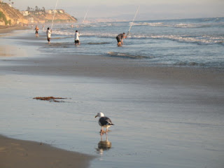 Three fishermen are one with the sea, so sayeth the sea gull