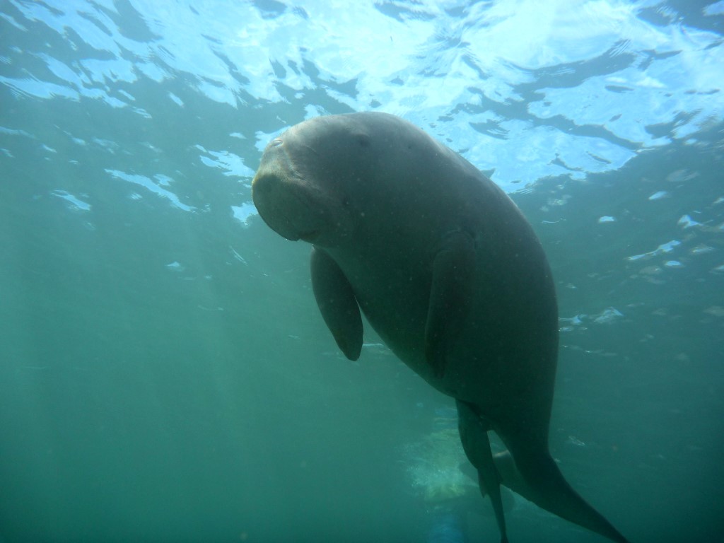 notre rencontre est accident