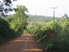 My village road