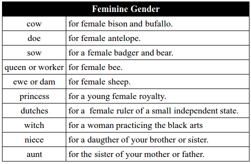 Masculine Feminine Chart
