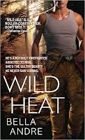 Review: Wild Heat by Bella Andre