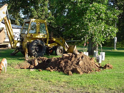 tree drawing with roots. roots do draw Pecan+tree+; roots do draw Pecan+tree+. b166er. Mar 17, 06:00 PM tree drawing with roots. tree drawing with roots. roots do draw Pecan+tree+; roots do draw Pecan+tree+. b166er. Mar 17, 06:00 PM