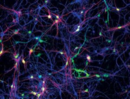 [Memristor-A-Device-That-Mimics-Brains-Synaptic-Action.jpg]