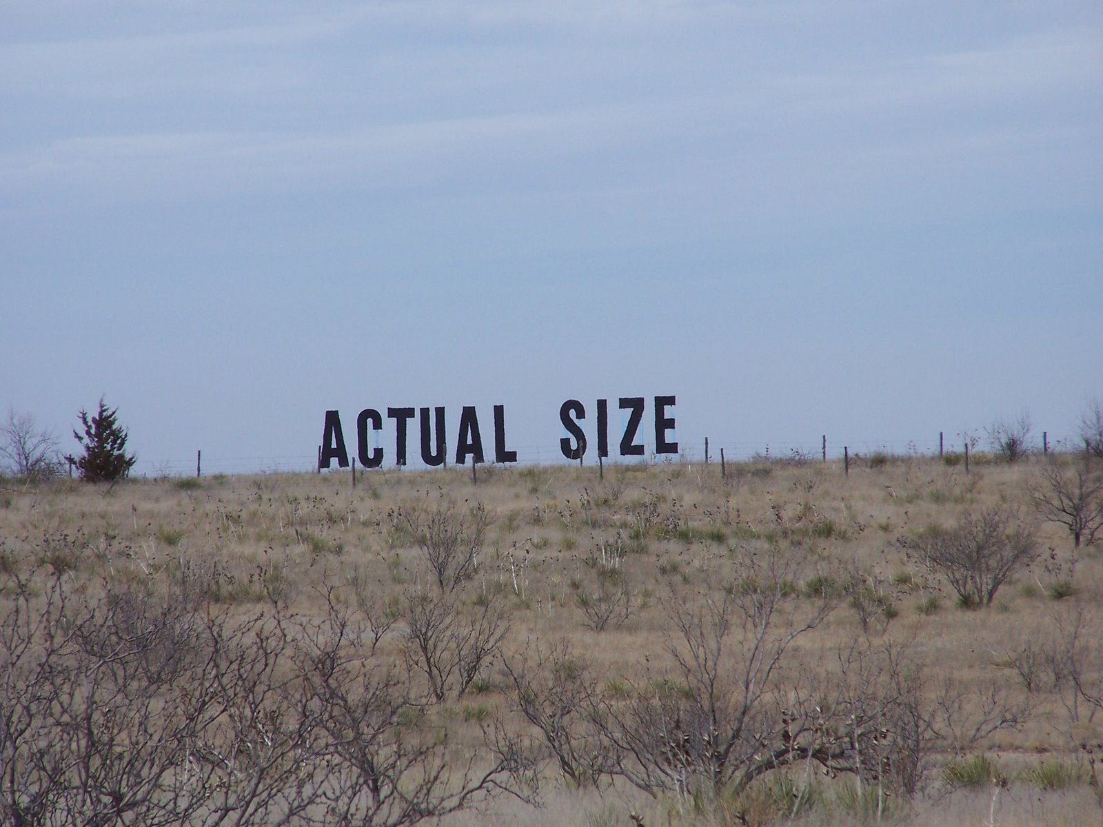 [actual+size+sign.JPG]