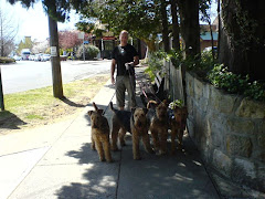 Nice day for a walk