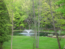 A view of our neighbor's yard from our deck. Thank you !