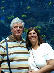 At the Georgia Aquarium