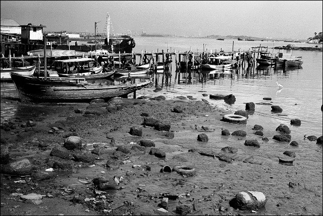 [zecacaju-baíadaguanabara.jpg]