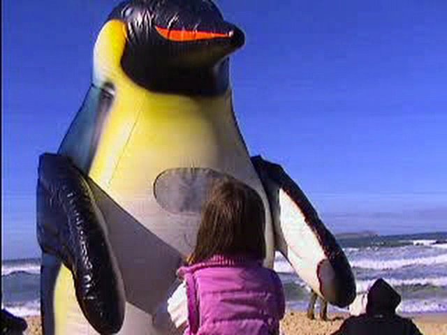 [Foto+PinguimEco+4WQS+2009.jpg]
