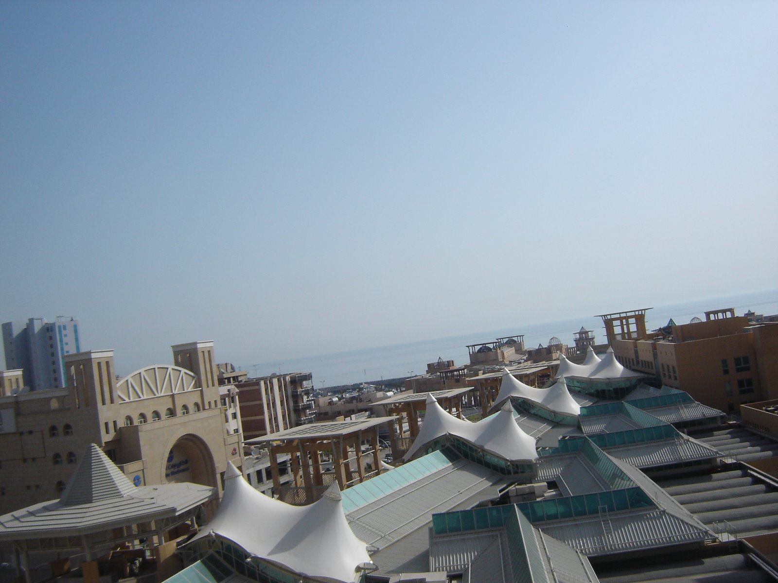 [DSC03159.JPG]